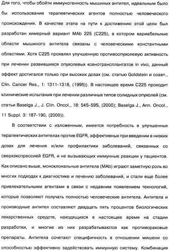 Человеческие моноклональные антитела к рецептору эпидермального фактора роста (egfr), способ их получения и их использование, гибридома, трансфектома, трансгенное животное, экспрессионный вектор (патент 2335507)