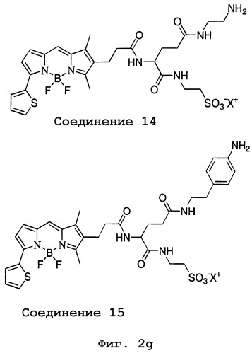 Красители на основе дифторида дипиррометенбора с двухфотонным поглощением и их применение (патент 2296333)