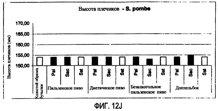 Микробиологически стабилизированное пиво (патент 2380400)