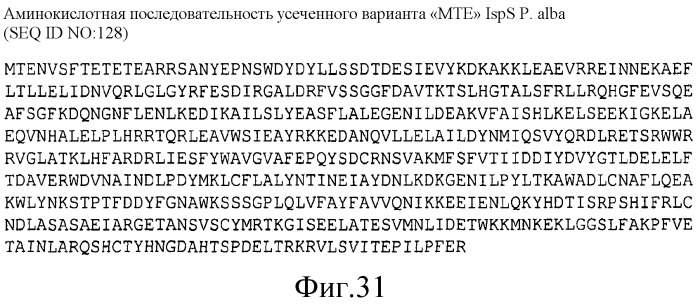 Варианты изопренсинтазы, применяемые для улучшения продуцирования изопрена микроорганизмами (патент 2516343)
