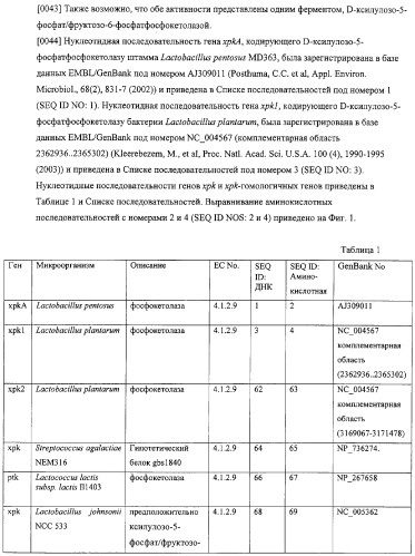 Использование фосфокетолазы для продукции полезных метаболитов (патент 2322496)