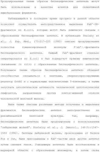 Антитела против вируса гепатита с (патент 2462475)