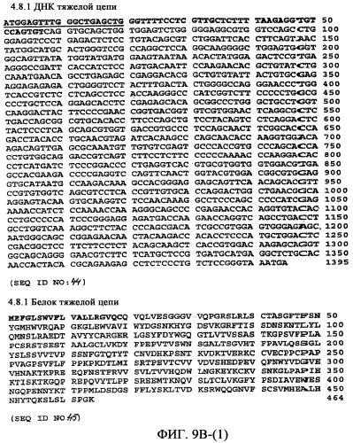 Применение антител к ctla-4 (патент 2346702)