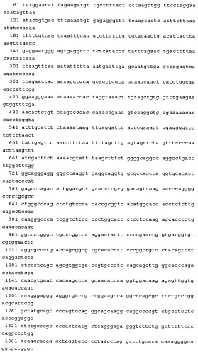 Связывающие молекулы, обладающие терапевтической активностью (патент 2386639)