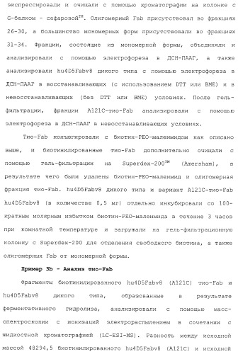 Антитела, сконструированные на основе цистеинов, и их конъюгаты (патент 2412947)