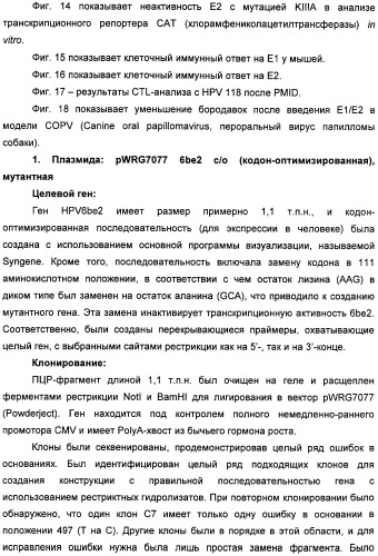 Полинуклеотидная последовательность, кодирующая полипептид вируса папилломы человека, ее применение, а также содержащие ее вектор и фармацевтическая композиция (патент 2354701)