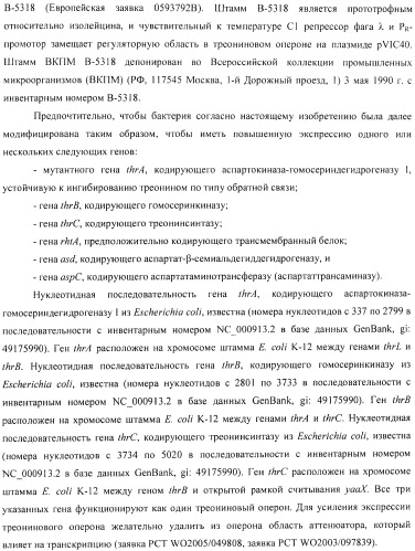 Способ получения l-аминокислоты с использованием бактерии, принадлежащей к роду escherichia (патент 2395579)