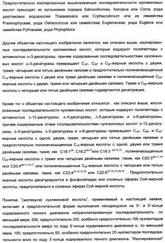 Способ получения полиненасыщенных кислот жирного ряда в трансгенных организмах (патент 2447147)