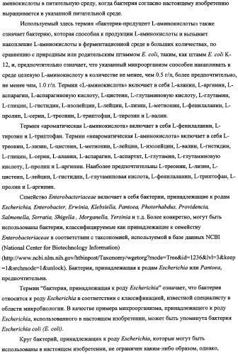 Способ получения l-треонина с использованием бактерии, принадлежащей к роду escherichia, в которой инактивирован кластер генов sfmacdfh-fimz или ген fimz (патент 2333953)