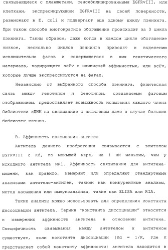 Scfv против egfrviii с улучшенной цитотоксичностью и выходом, иммунотоксины на их основе и способы их применения (патент 2317999)