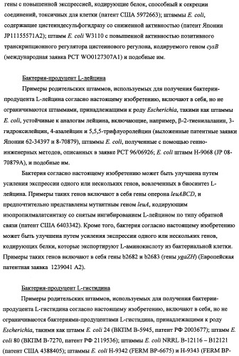 Способ получения l-треонина с использованием бактерии, принадлежащей к роду escherichia, в которой инактивирован кластер генов yrah-r (патент 2337962)