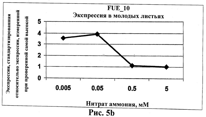 Изолированные полипептиды, кодирующие их полинуклеотиды, экспрессирующие их трансгенные растения и способы их использования (патент 2487166)