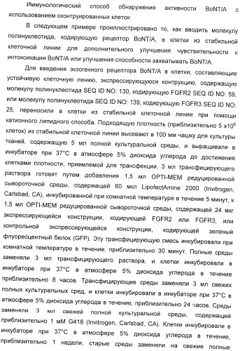 Иммунологические анализы активности ботулинического токсина серотипа а (патент 2491293)