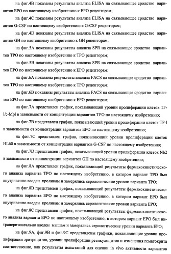 Вариант еро, обладающий повышенным сродством связывания с рецептором и сниженным антигенным потенциалом, днк, кодирующая такой вариант еро, рекомбинантный экспрессионный вектор, содержащий такую днк, клетка-хозяин, трансформированная или трансфектированная таким вектором, способ получения такого варианта еро и фармацевтическая композиция, содержащая такой вариант еро (патент 2432360)