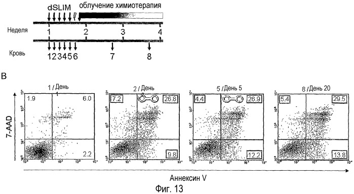 Функциональный иммуноанализ in vitro (патент 2416797)