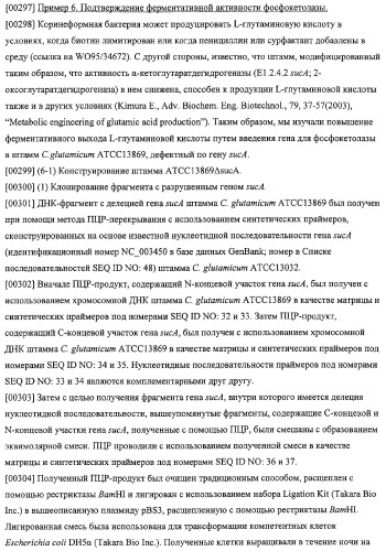 Использование фосфокетолазы для продукции полезных метаболитов (патент 2322496)