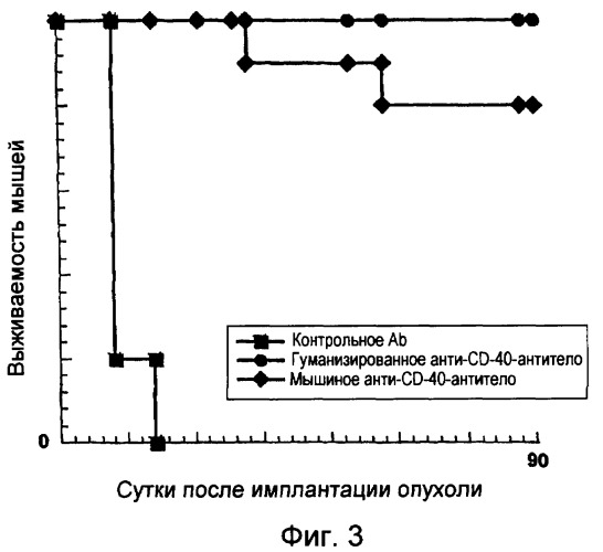 Гуманизированные анти-cd40-антитела и способы их применения (патент 2407544)