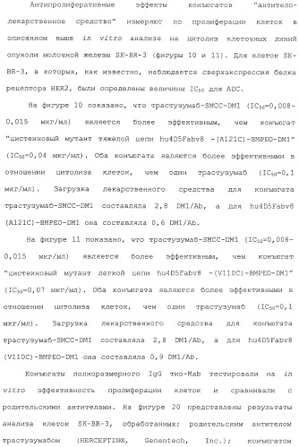 Антитела, сконструированные на основе цистеинов, и их конъюгаты (патент 2412947)