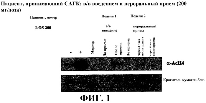 Способы индукции конечной дифференцировки (патент 2394022)