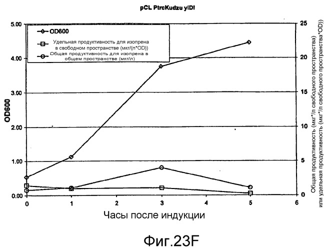 Полимеры изопрена из возобновляемых источников (патент 2505605)