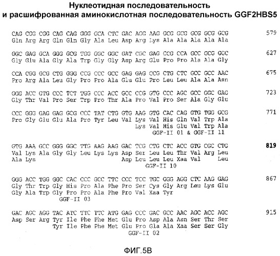 Способ обеспечения требуемых уровней фактора 2 роста глии в плазме (патент 2530650)