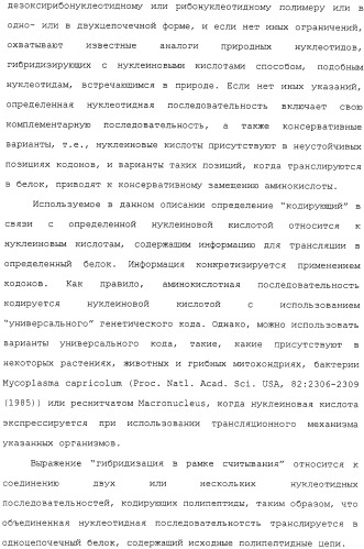 Scfv против egfrviii с улучшенной цитотоксичностью и выходом, иммунотоксины на их основе и способы их применения (патент 2317999)