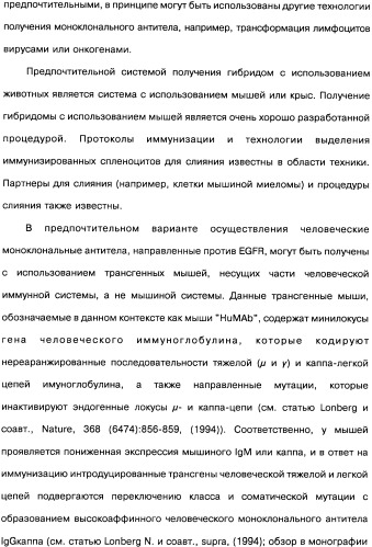 Человеческие моноклональные антитела к рецептору эпидермального фактора роста (egfr), способ их получения и их использование, гибридома, трансфектома, трансгенное животное, экспрессионный вектор (патент 2335507)