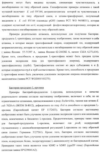 Способ получения l-треонина или l-аргинина с использованием бактерии, принадлежащей к роду escherichia, в которой инактивирован ген chac или оперон chabc (патент 2392327)