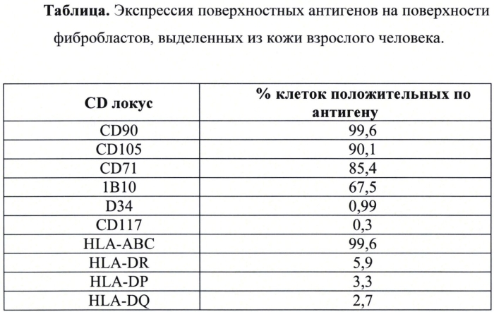 Способ выделения фибробластов, способ создания биотрансплантата на их основе (варианты) и способ регенерации тканей человека (варианты) (патент 2567004)