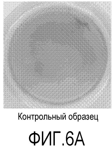 Способы и композиции для закрепления и культивирования клеток на плоских носителях (патент 2547925)