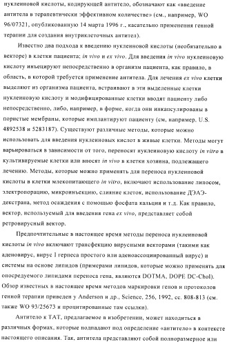 Композиции и способы диагностики и лечения опухоли (патент 2423382)