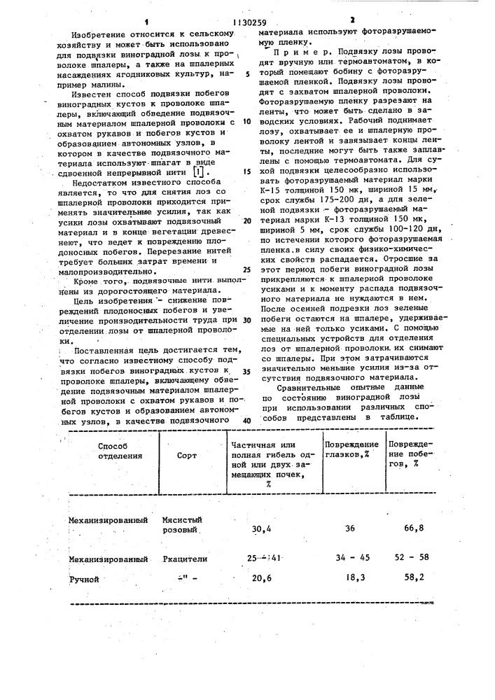 Способ подвязки побегов виноградных кустов к проволоке шпалеры (патент 1130259)