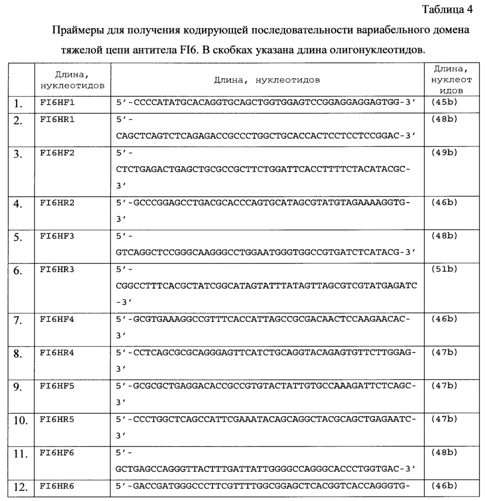 Рекомбинантная плазмидная днк pbipr-abiga1fi6-intht для получения рекомбинантного иммуноглобулина а изотипа iga1 (патент 2664184)