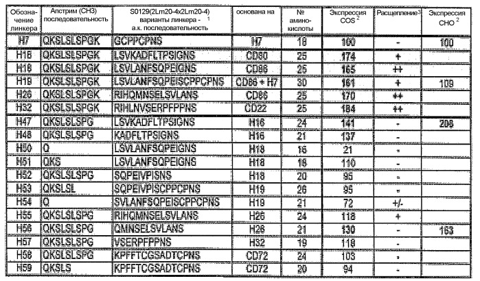 Одноцепочечные мультивалентные связывающие белки с эффекторной функцией (патент 2487888)