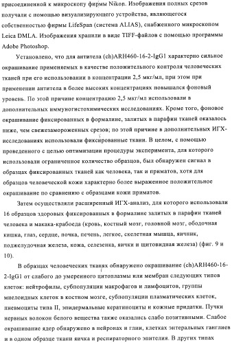 Химерные и гуманизированные антитела к cd44, которые опосредствуют цитотоксичность в отношении раковых клеток (патент 2487723)