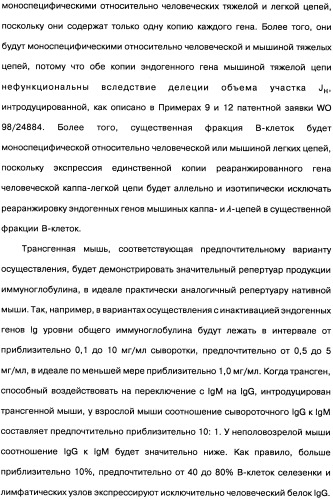 Человеческие моноклональные антитела к рецептору эпидермального фактора роста (egfr), способ их получения и их использование, гибридома, трансфектома, трансгенное животное, экспрессионный вектор (патент 2335507)