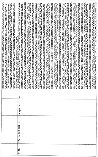 Pscaxcd3, cd19xcd3, c-metxcd3, эндосиалинxcd3, epcamxcd3, igf-1rxcd3 или fap-альфаxcd3 биспецифическое одноцепочечное антитело с межвидовой специфичностью (патент 2547600)