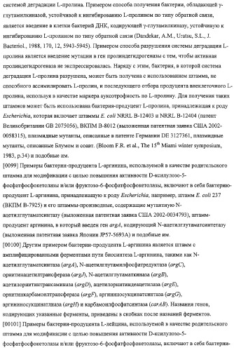 Использование фосфокетолазы для продукции полезных метаболитов (патент 2322496)