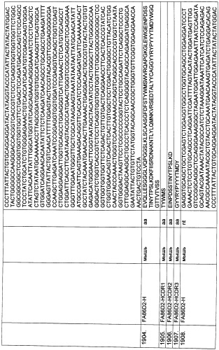 Pscaxcd3, cd19xcd3, c-metxcd3, эндосиалинxcd3, epcamxcd3, igf-1rxcd3 или fap-альфаxcd3 биспецифическое одноцепочечное антитело с межвидовой специфичностью (патент 2547600)