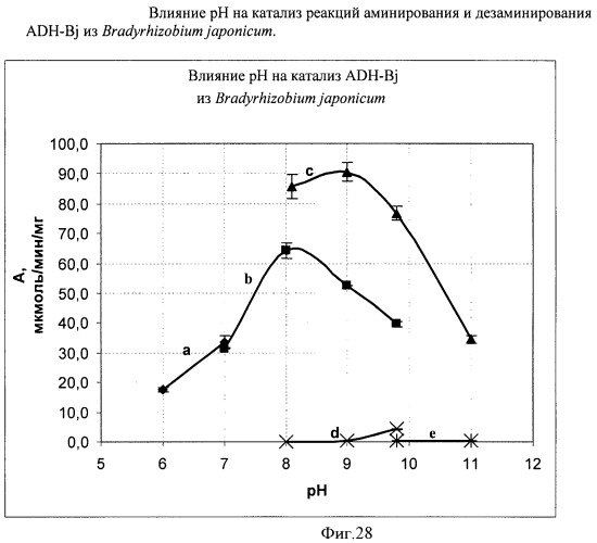 Бактерия семейства enterobacteriaceae - продуцент l-аспарагиновой кислоты или метаболитов, производных l-аспарагиновой кислоты, и способ получения l-аспарагиновой кислоты или метаблитов, производных l-аспарагиновой кислоты (патент 2472853)