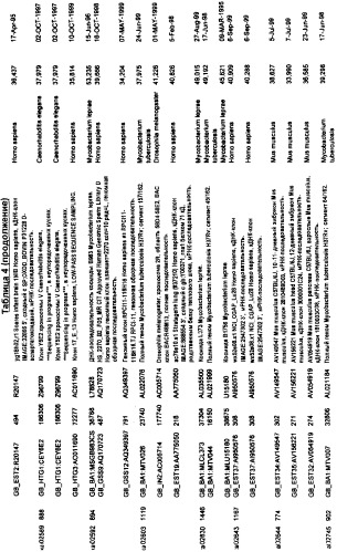 Гены corynebacterium glutamicum, кодирующие белки, участвующие в гомеостазе и адаптации (патент 2304616)