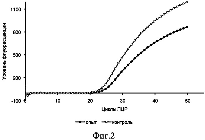 Средство, ингибирующее жизнедеятельность бактерий escherichia coli o75 №5557 (варианты) (патент 2524138)