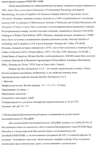 Способ продукции 4-гидрокси-l-изолейцина (патент 2402608)