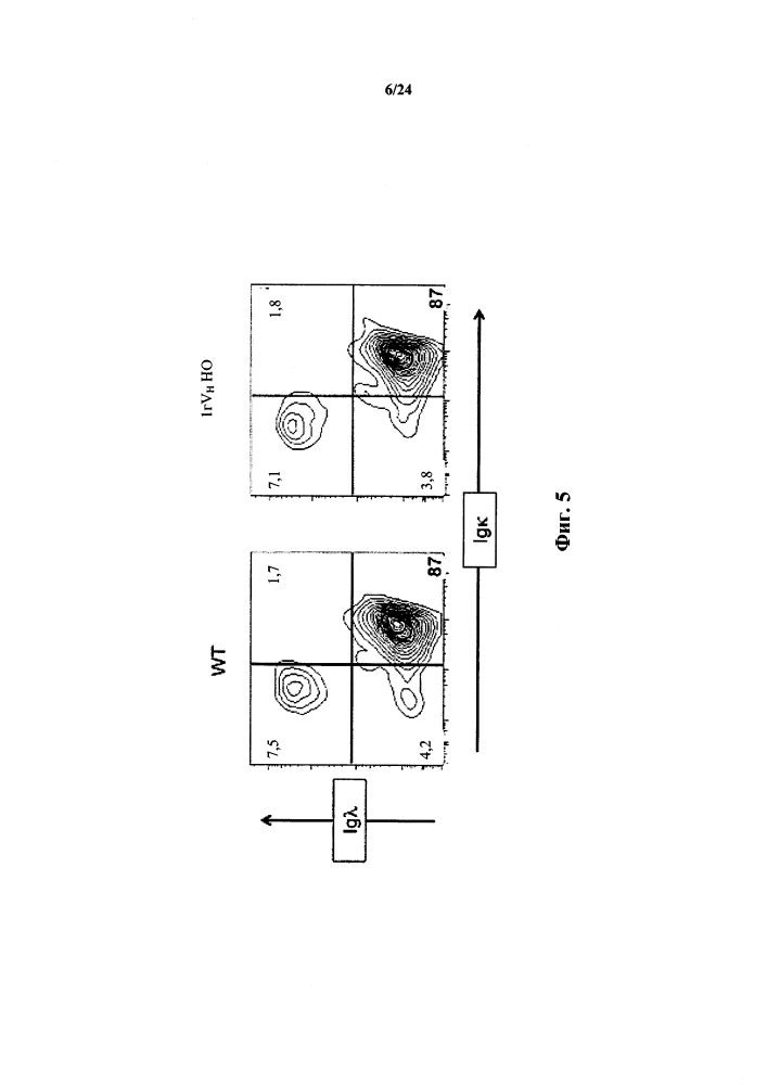 Мыши с ограниченной тяжелой цепью иммуноглобулина (патент 2603090)