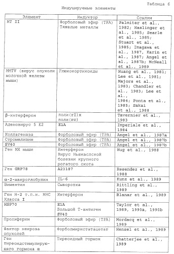 Способ уничтожения злокачественной клетки (патент 2432358)