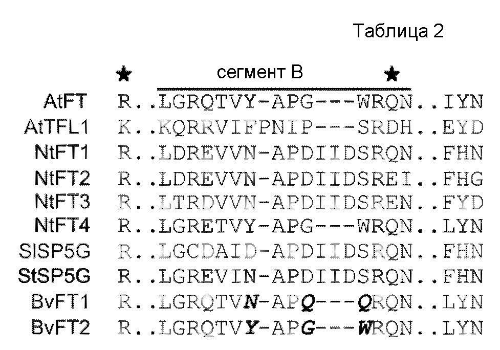 Последовательности нуклеиновых кислот и пептиды/белки семейства ft, обусловливающие свойства подавления цветения у трансформированных ими растений табака и трансгенных растений (патент 2644685)