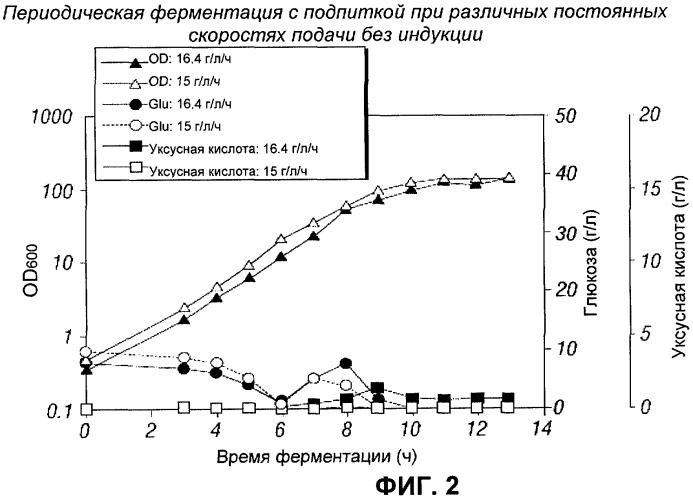 Процесс периодической ферментации с подпиткой при высокой плотности клеток для получения рекомбинантного белка (патент 2451070)