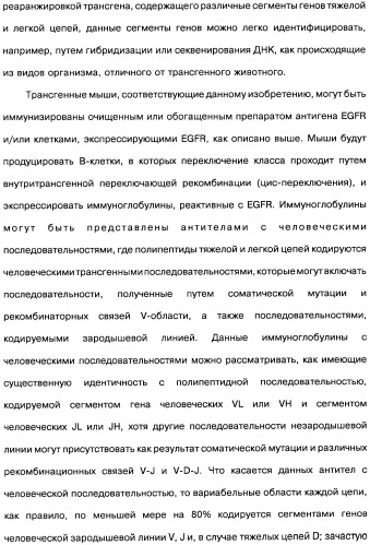 Человеческие моноклональные антитела к рецептору эпидермального фактора роста (egfr), способ их получения и их использование, гибридома, трансфектома, трансгенное животное, экспрессионный вектор (патент 2335507)