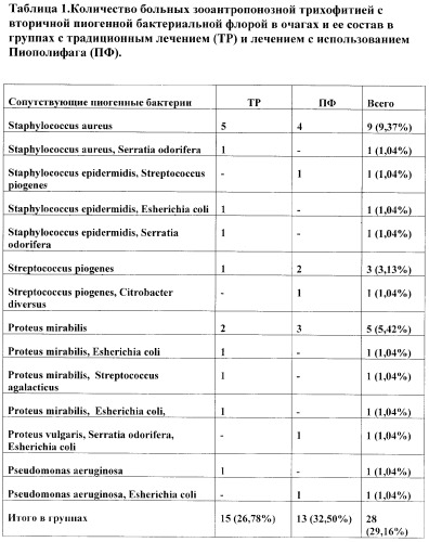 Способ лечения инфильтративной и нагноительной трихофитии, осложненной вторичной пиогенной инфекцией, и профилактики осложнения течения трихофитии пиогенными бактериями (патент 2345783)