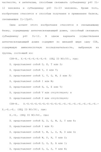 Белки, связывающие il-12/p40 (патент 2461571)